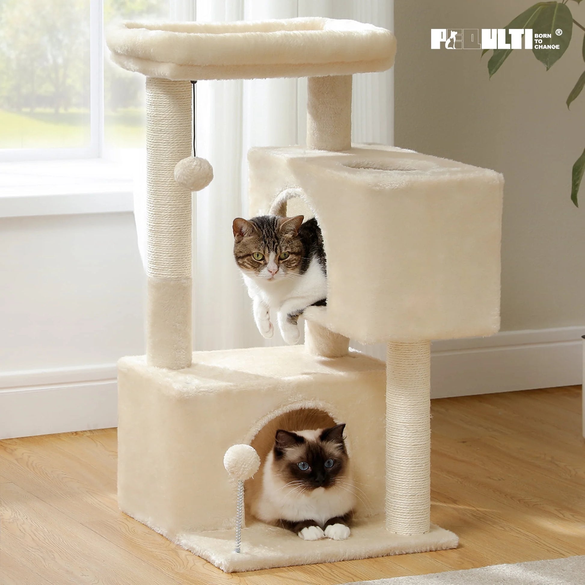 31.5" Modern Cat Tree Tower with Dual Large Condos for Kitten ＆ Medium Size Cat Beige